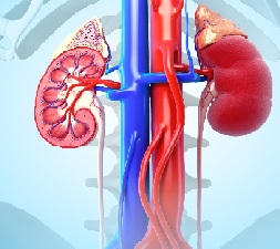 Best Urologist in Rajasthan